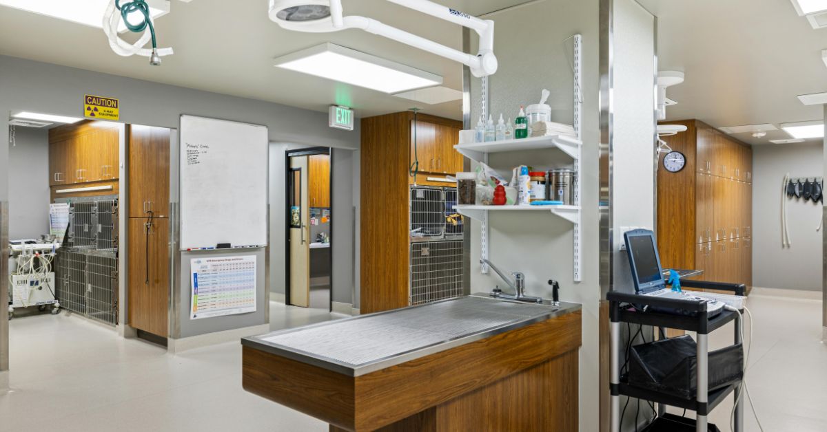 Best Clinic Interior Designer In India Best Clinic Interior Designer In India